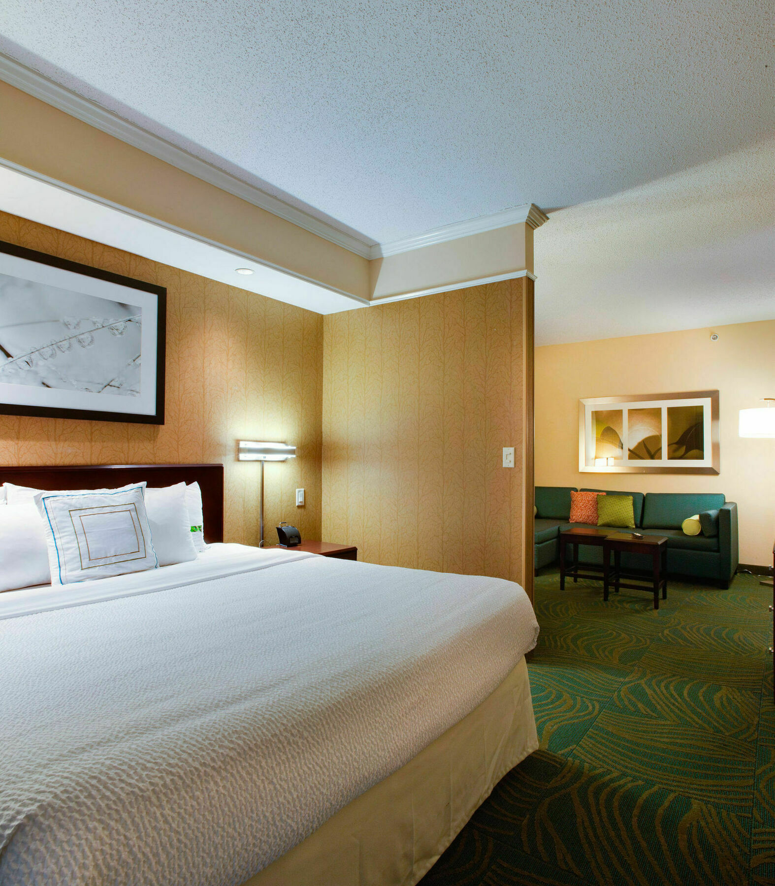 Springhill Suites By Marriott Savannah I-95 South Georgetown Екстериор снимка